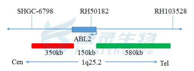 中国·拉斯维加斯(3499·官方认证)网站-Officialwebsite